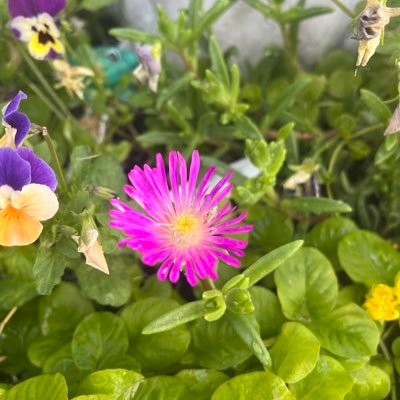 zandt_van's profile picture. 