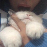 sıla (@umudumuzbittii) 's Twitter Profile