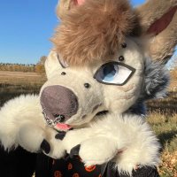 Sam (@coopervapourad) 's Twitter Profile Photo