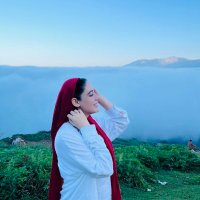 اِلهام مُحَمَدی (@elhammo88063423) 's Twitter Profile