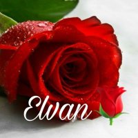 🇹🇷Elvan ERDOĞAN🇹🇷 (@41_elvan_41) 's Twitter Profile Photo 🇹🇷Elvan ERDOĞAN🇹🇷 (@41_elvan_41) 's Twitter Profile Photo