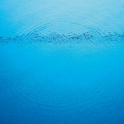 LetEmEatVowels's profile picture. Let Them Eat Vowels