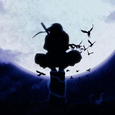 traderwaj's profile picture. Trader of free markets.