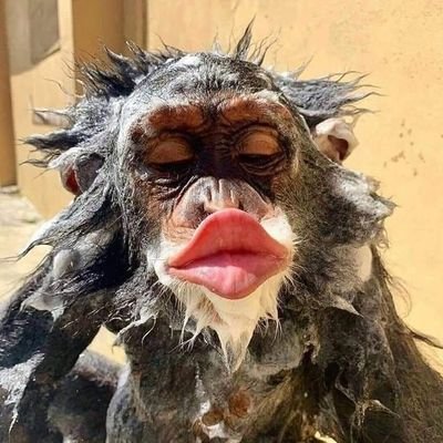 Annn72040's profile picture. NO Direct Messages!!!!