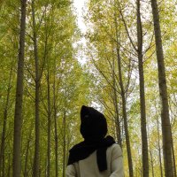 Mental Gear Solid (@bbydemon444) 's Twitter Profile