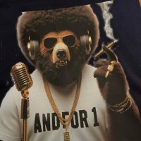 Fuol Not Foul (@fuolnotfoul) 's Twitter Profile
