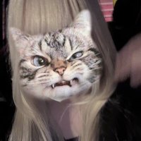 a (@oo_ylv) 's Twitter Profile