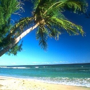 VakantiesVrijet's profile picture. Vrije tijd en vakanties ;)