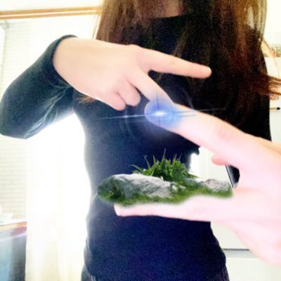 sn00pcha's profile picture. 