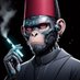 metamorphic ape (@metamorphic_ape) Twitter profile photo metamorphic ape (@metamorphic_ape) Twitter profile photo