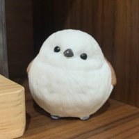 カラ (@karasan_kinoko) Twitter profile photo