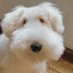 cloud (@cloudydaysspl) Twitter profile photo cloud (@cloudydaysspl) Twitter profile photo