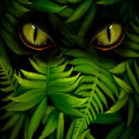 Kathy (@junglekat55) 's Twitter Profile