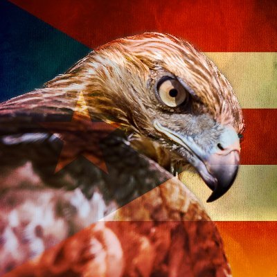 Boricua | Libertad sobre todo. 🏛️↓ = ↑🗽 Luchando por un Puerto Rico libertario, capitalista, pro-economía, y de sentido común. 🇵🇷🏝️🇺🇸
