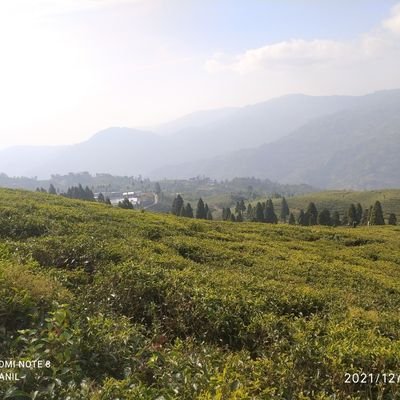 pranil_pradhan2's profile picture. जित्नु भन्दा ठूलो कुरा हिम्मत नहार्नु हो!!!
