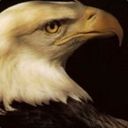 Peter Potter - @orzelek12 - Twitter