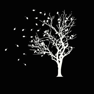 II18430752's profile picture. 