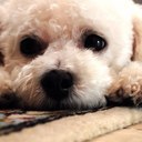 Don Duckworth - @freedom_duck - Twitter