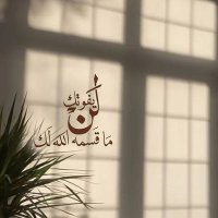 🕊✨؛M꯭.F꯭A꯭W꯭Z꯭Y꯭ (@al3ndlyb20) 's Twitter Profile
