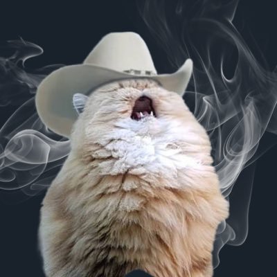 SEÑOR MEOWDYさんのプロフィール画像