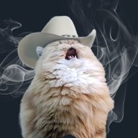 SEÑOR MEOWDY (@meowdyahhh) 's Twitter Profile