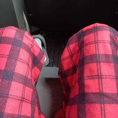 lilcatw's profile picture. 
