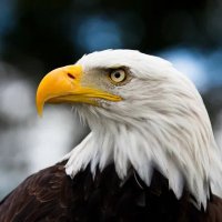 Dean (@etherumist) 's Twitter Profile