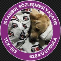 duru (@durucnrr) 's Twitter Profile