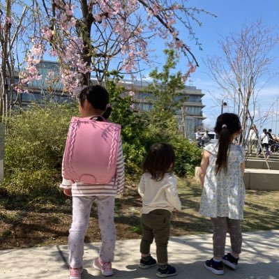 フルタイム限界/2025年3月から4社目(中小企業の経理に転職)/取得済み:簿記2級、建設業経理士2級、衛生管理者2種/目標:簿記1級取得/ハイキュー澤村大地、東峰旭が好き/