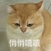 一穹二皛 (@qaq3bai) Twitter profile photo 一穹二皛 (@qaq3bai) Twitter profile photo