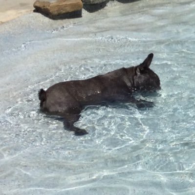 Blackbeak99's profile picture. 25| UMICH alum