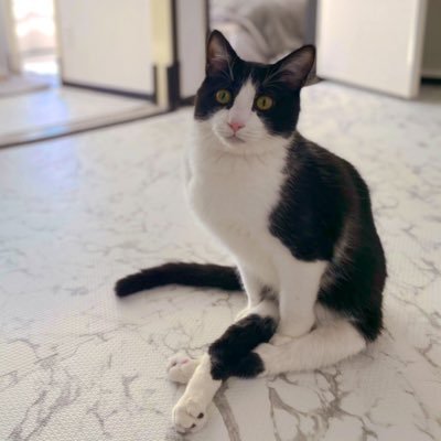 HarukaIsok62115's profile picture. 