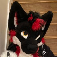 🔥Scorch🔥🔜LVFC (@pupscorch) 's Twitter Profile Photo 🔥Scorch🔥🔜LVFC (@pupscorch) 's Twitter Profile Photo