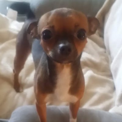 roco_smith_507's profile picture. 