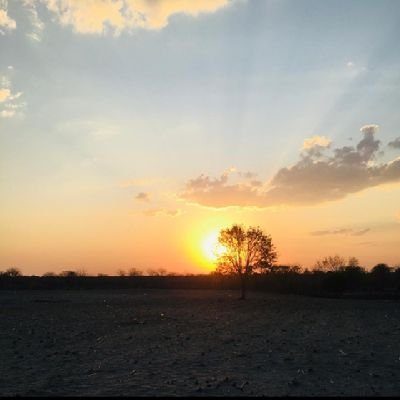 Northernli90741's profile picture. Economist 🎓