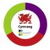 🏴CSC Cymraeg CCD 🟦🟩⬜ (@csc_cymraeg) Twitter profile photo 🏴CSC Cymraeg CCD 🟦🟩⬜ (@csc_cymraeg) Twitter profile photo
