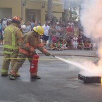 Hollywood Cadet (@hlwdexplorers) 's Twitter Profile