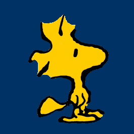 adiacca's profile picture. 