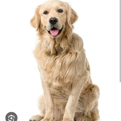 SUGARKImmmmm's profile picture. 김설탕