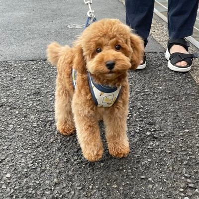 ADlbYdHf4w19307's profile picture. 自由と平和