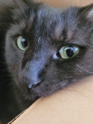 roe_wanda3892's profile picture. Love animals. They make me laugh.I am 84 and still upright most of the time. I think brain still works ok.