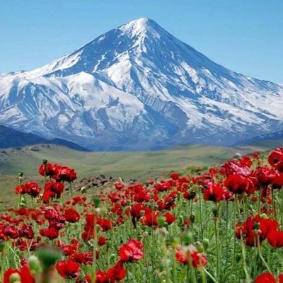 جمهوری خواه، معتقد به نظریه راه سوم.
برعلیه تعصب!