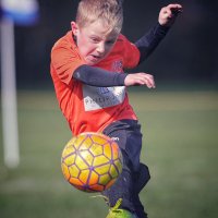 The Sports Dad (@photophil8) 's Twitter Profile