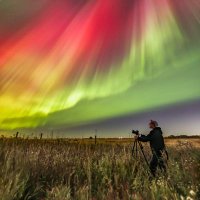 Matt Melnyk (@melnyk_photos) 's Twitter Profile