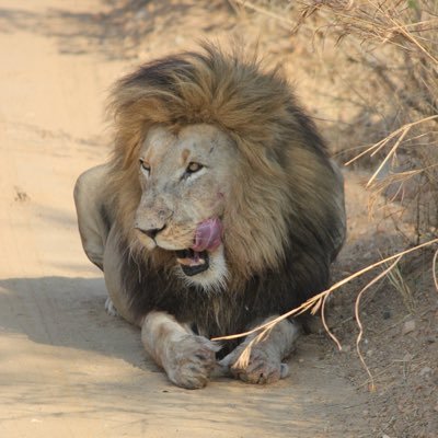 MarineBolleret's profile picture. Med 💉