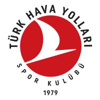 Türk Hava Yolları SK (@thysporkulubu) Twitter profile photo