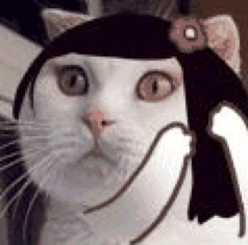 lanzaboinas's profile picture. 