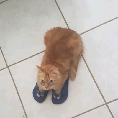 mochiさんのプロフィール画像