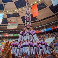 jordi giVert DUI {pd9fmp 💜} (@pcanyes) 's Twitter Profile Photo