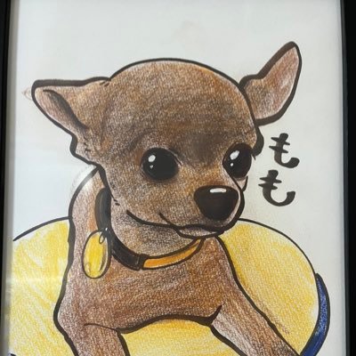APEXを下手ですが楽しんでやってます🤚良かったらフォローお願いします🙇♂️タイミングが会ったら一緒にやりましょう🤚こちらで配信もしてます https://t.co/m7wdBxhwVn